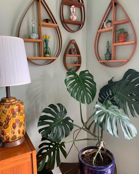 Полки в інтер'єрі: види, функціонал, варіанти застосування та 98 стильних фото