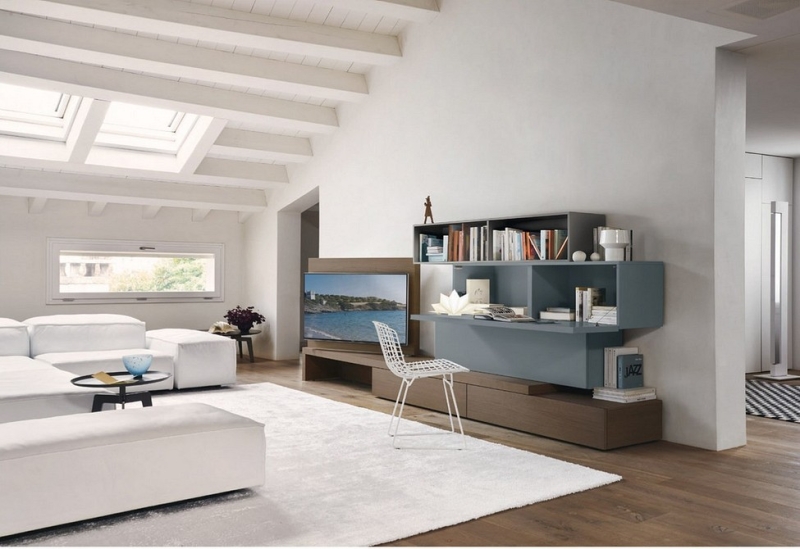 Шкаф под телевизор в зал: тренды, виды, советы по выбору и 78 фото разных моделей