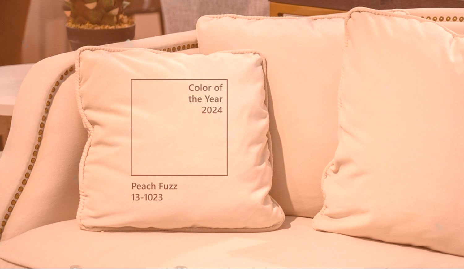 Колір року Pantone 2024 Peach Fuzz (Персиковий Пух) та приклади його використання в інтер'єрі диванів